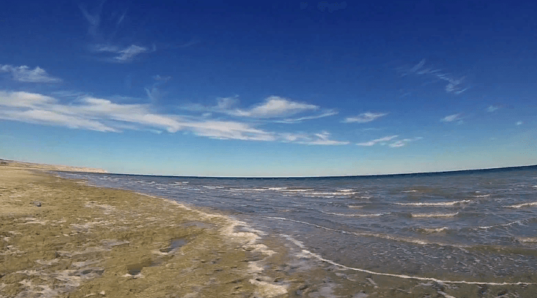 Команда из Туркменистана стала финалистом международного конкурса прорывных технологий