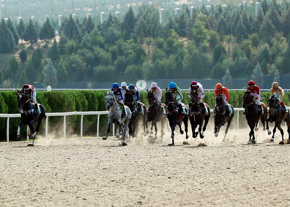 В Туркменистане внедрят онлайн-ставки на конные скачки