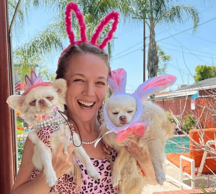 Женщина потратила £30 тысяч на гардероб для чихуа-хуа