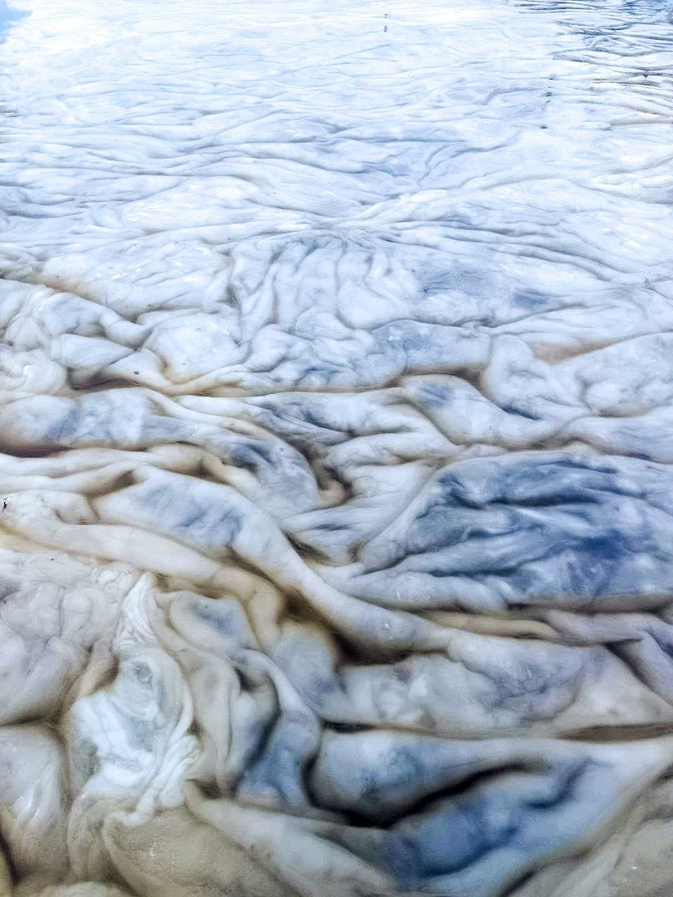  В Санкт-Петербурге зафиксировали редкое явление на реках и каналах