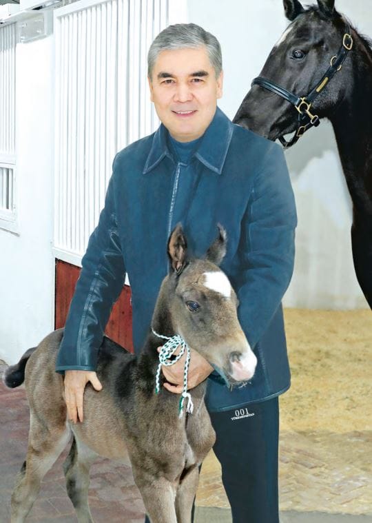Бердымухамедов дал имя рождённому на Новый год жеребёнку