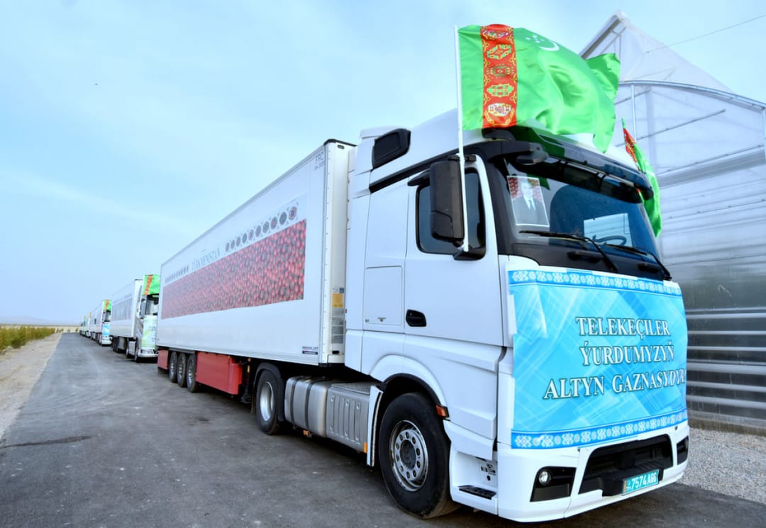 В Лебапском велаяте Туркменистана увеличилось число представителей частного сектора