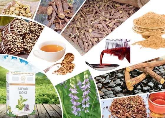 Berdimuhamedow koronawirusyň öňüni almakda buýan köküni peýdalanmagy maslahat berýär