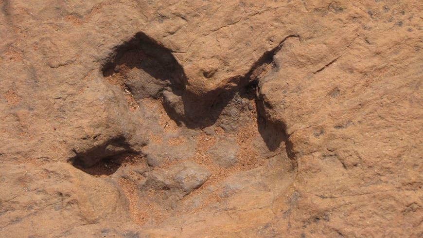 Drought in Texas reveals ancient dinosaur footprints