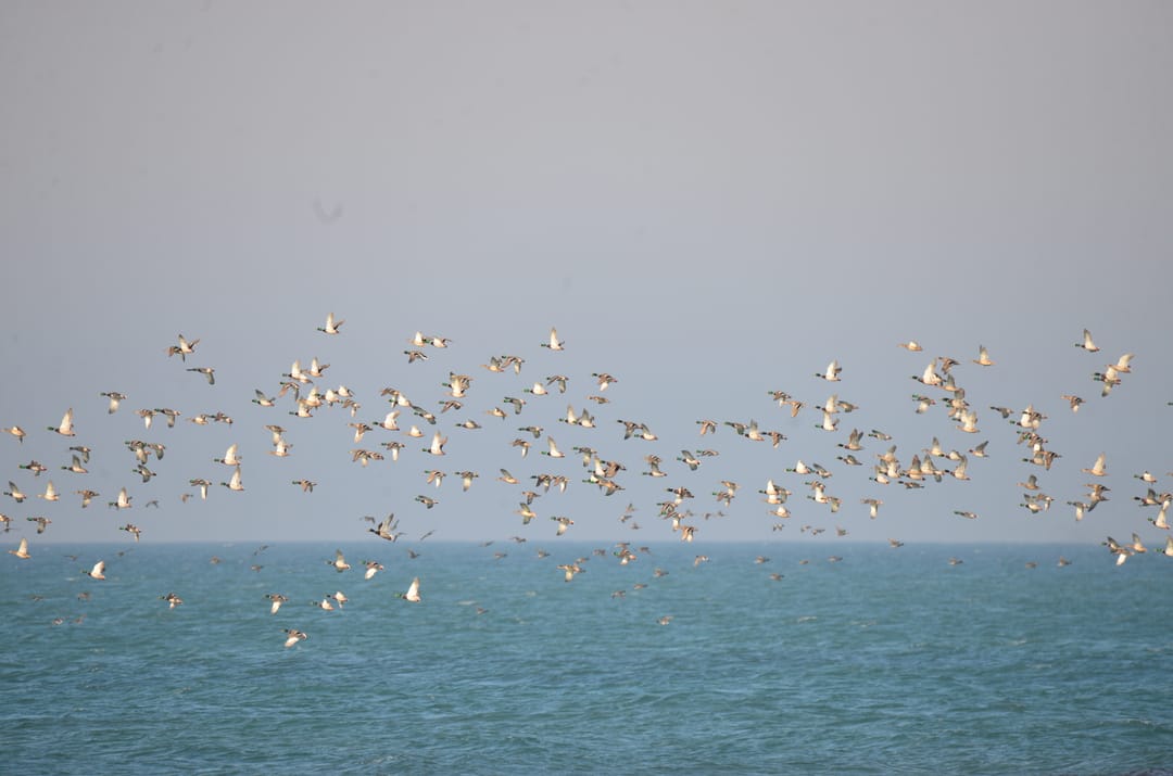 Юные натуралисты посетили Хазарский заповедник