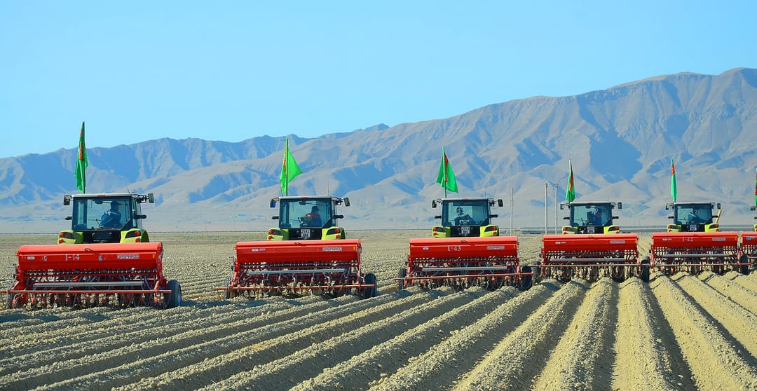 В Туркменистане завершился сев озимой пшеницы