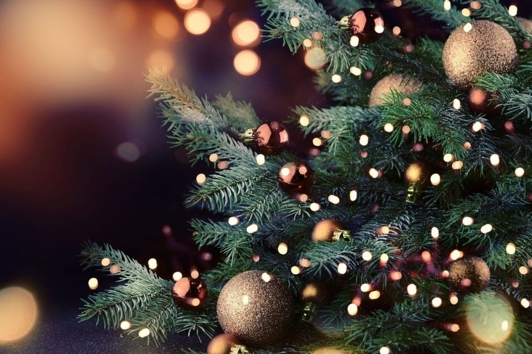 В Туркменистане победителю конкурса на лучшую новогоднюю ёлку вручен смарт-ТВ 