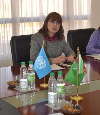 Президент Туркменистана принял верительные грамоты от Постоянного координатора ООН