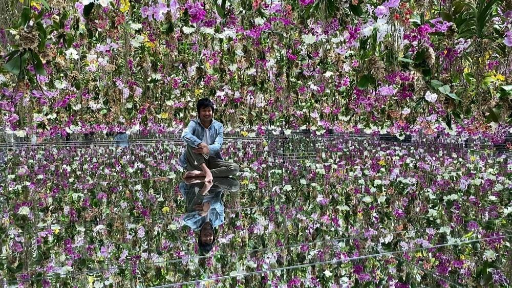 Ýaponiýada wirtual baglyk döredildi