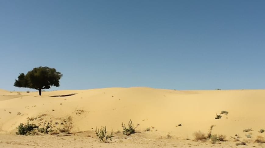 В Эфиопии запустили гигантскую ГЭС