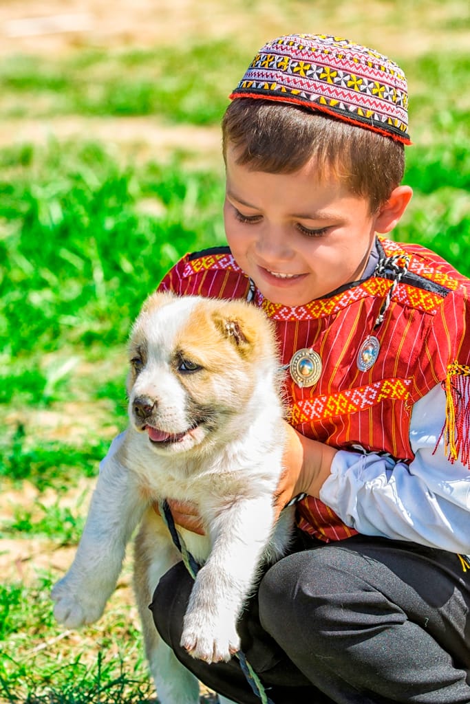 Alabai Day was postponed in Turkmenistan