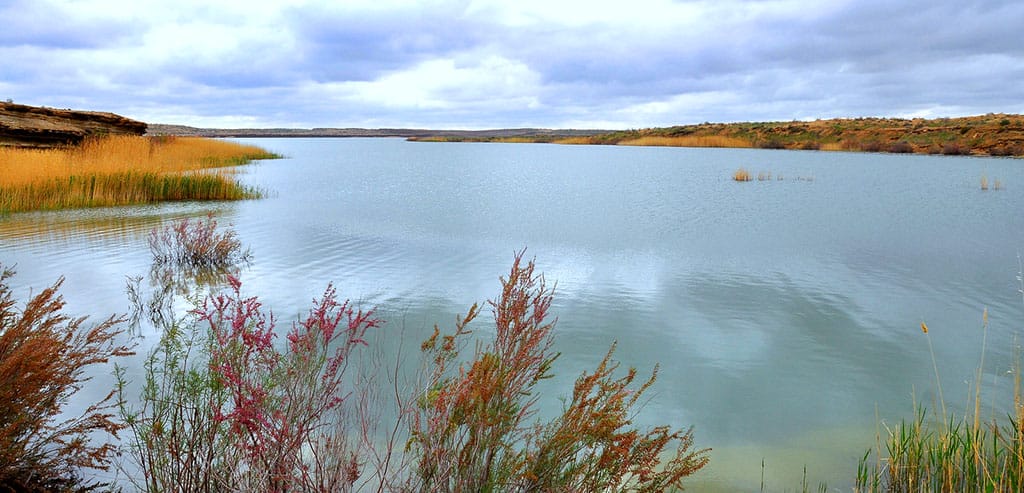 Реликтовые бессточные озёра Туркменистана – пристанище редких видов рыб и животных