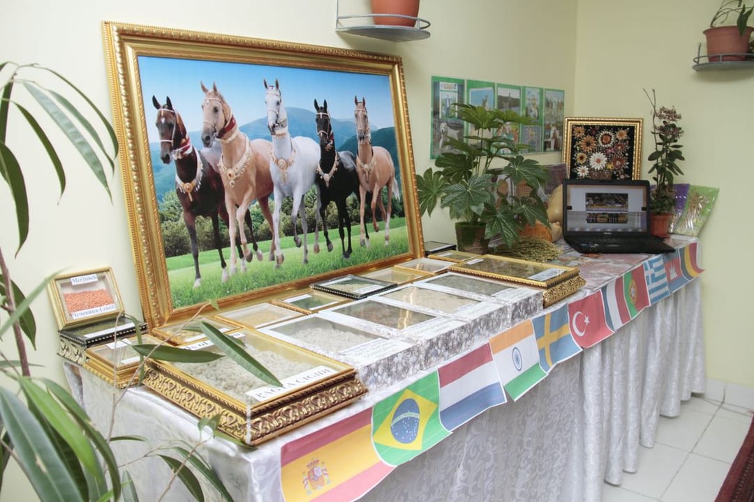 Туркменский сельскохозяйственный университет провел неделю иностранных языков