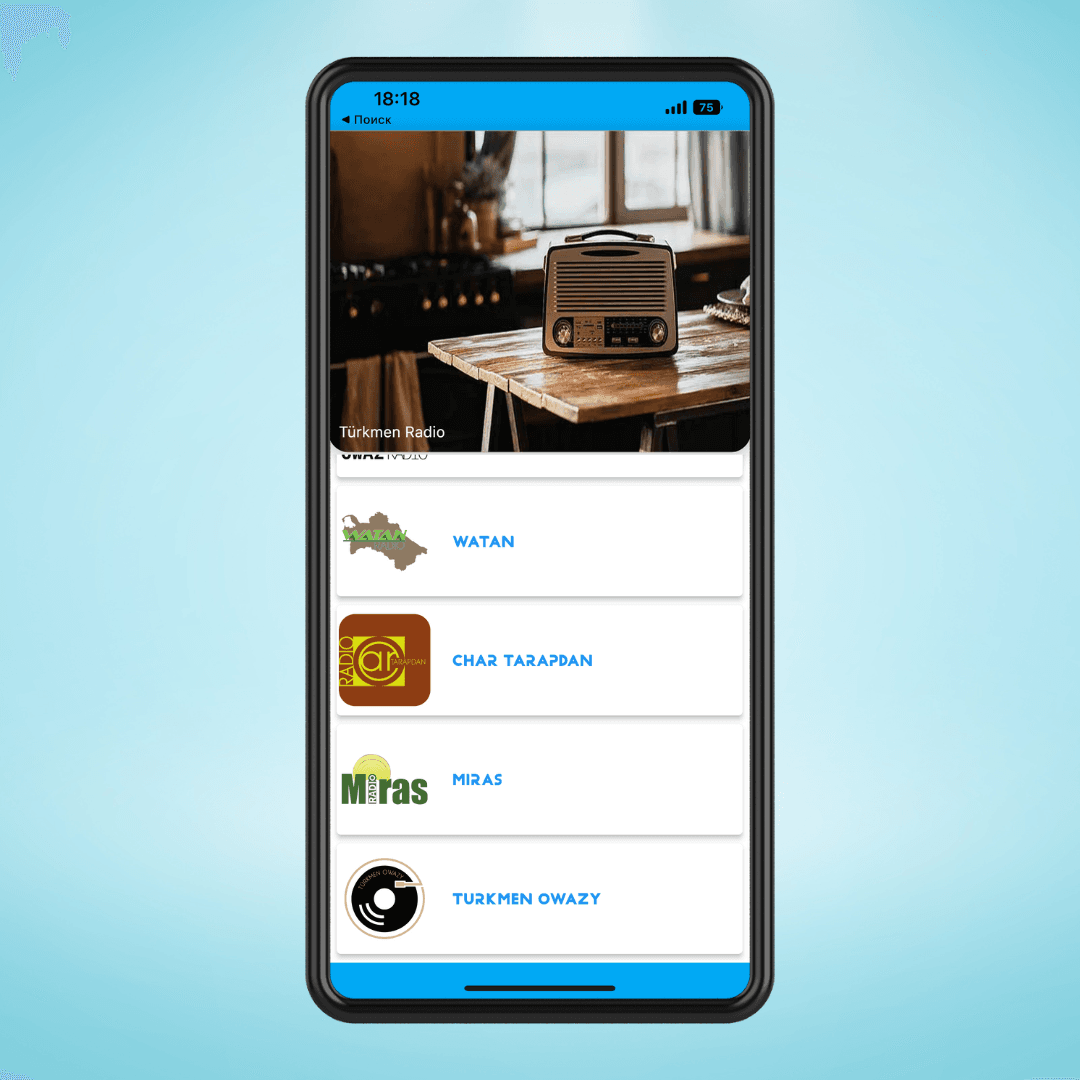 В мобильном приложении Türkmen Radio появился раздел с песнями на туркменском языке