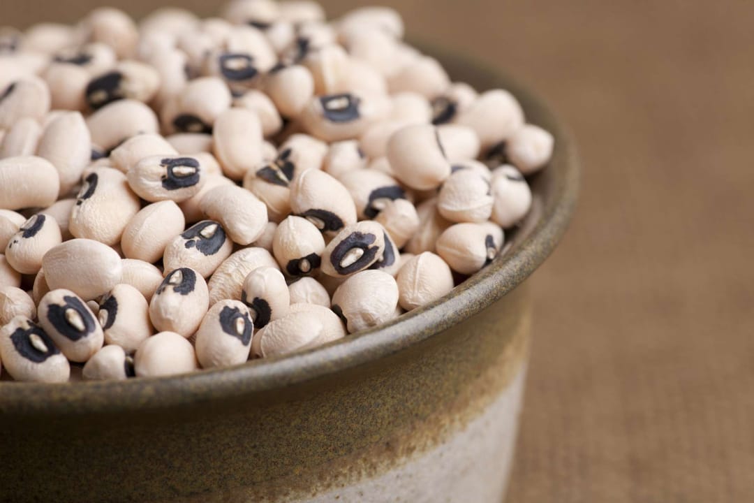 В Туркменистане расширяют площади для выращивания белой фасоли