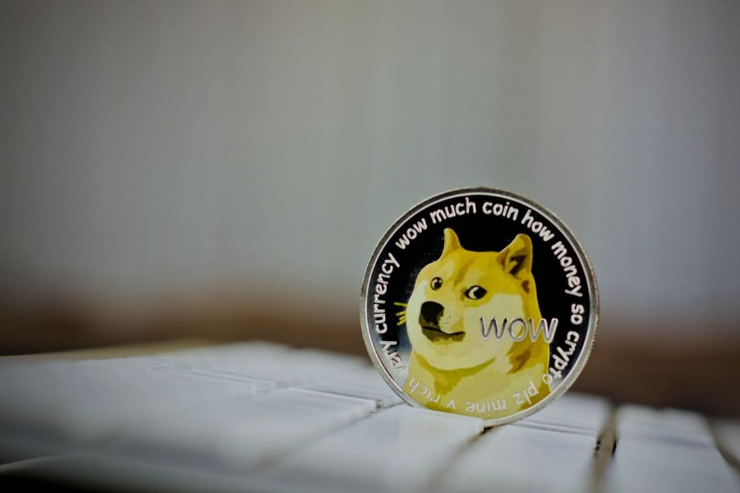 Twitter replaced the bird with a dog