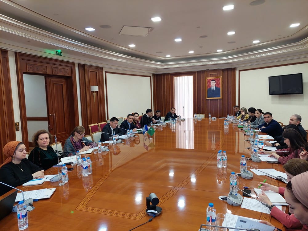 UNDP and Partners Held Webinar on Tax Regulation and WTO Rules