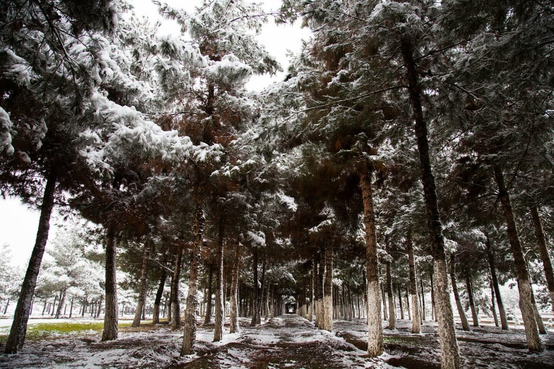 The first snowflakes in Ashgabat heralded the onset of winter