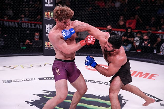 Стал известен гонорар Ягшимурадова за бой с Альбректссоном