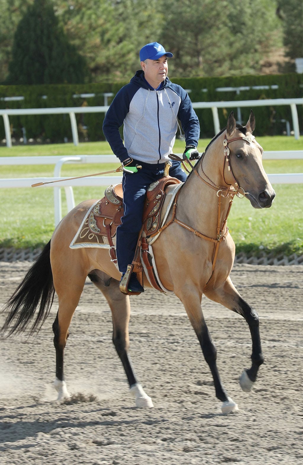 Президент Туркменистана позанимался верховой ездой