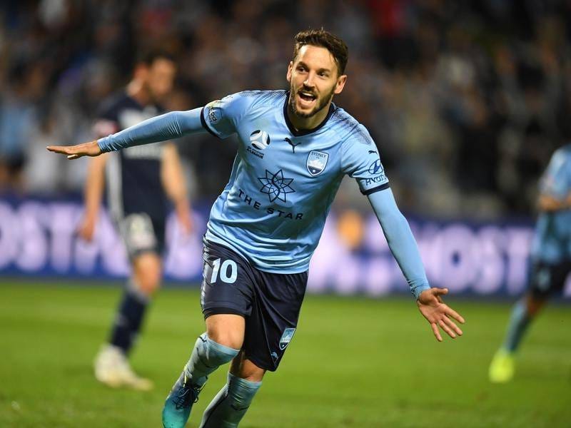 Туркменский телеканал «Спорт» начнет транслировать матчи чемпионата Австралии