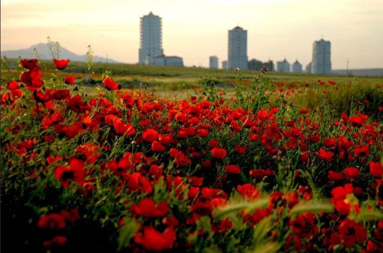 В Туркменистане пройдёт кинофестиваль «Ашхабадская весна»