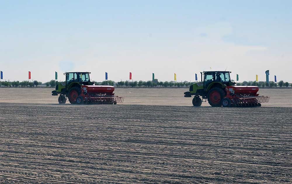 Çärjew etrabynda 24 müň gektardan gowrak ýere bugdaý ekilýär