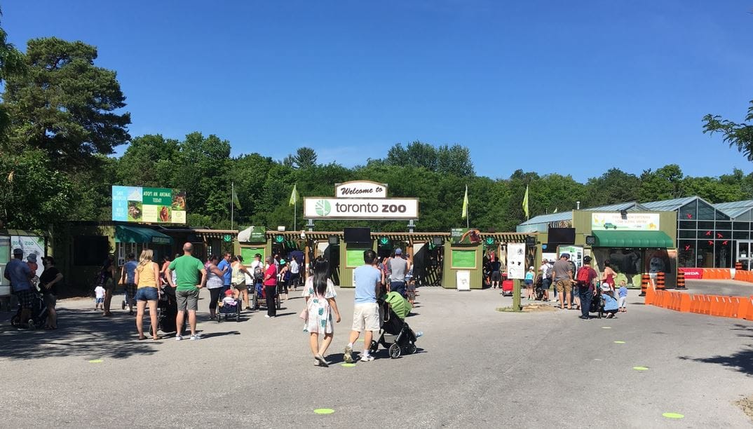 В Канаде предлагают назвать тараканов именами бывших возлюбленных