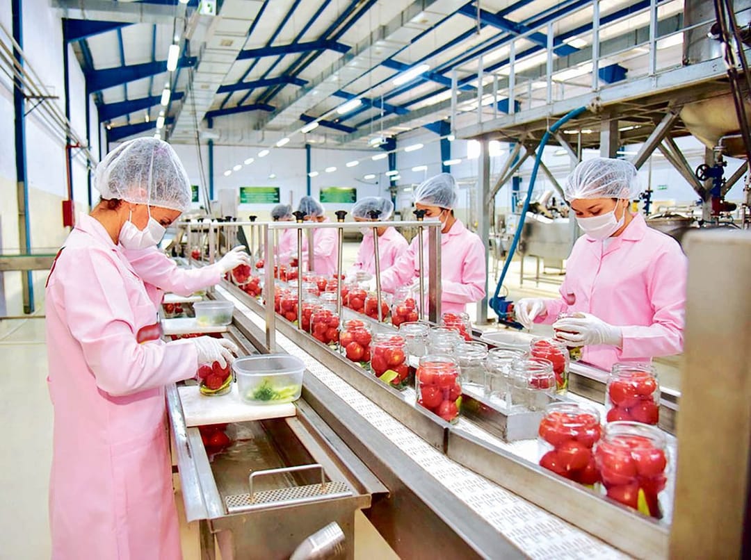 В Туркменистане предприниматели смогут получить кредиты в размере до 500 минимальных размеров оплаты труда