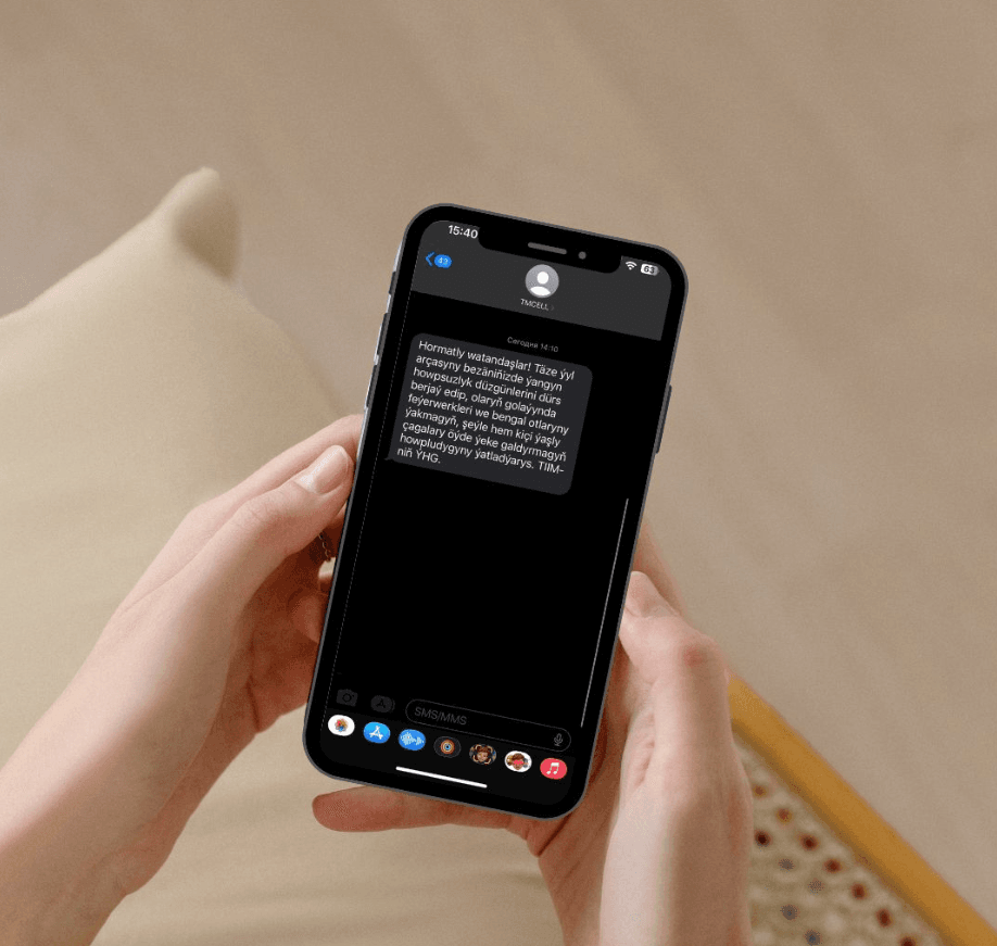 МВД Туркменистана напомнило о правилах безопасности в новогодние праздники