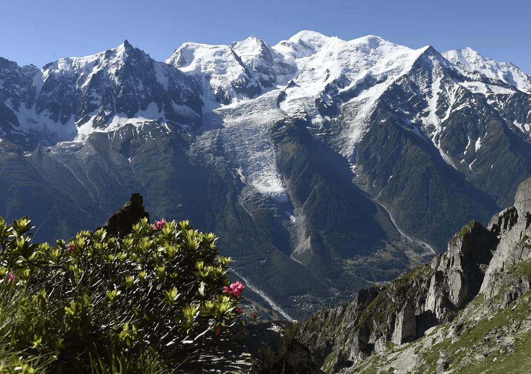 Ählumumy maýlama Alp daglaryny otluga büredi