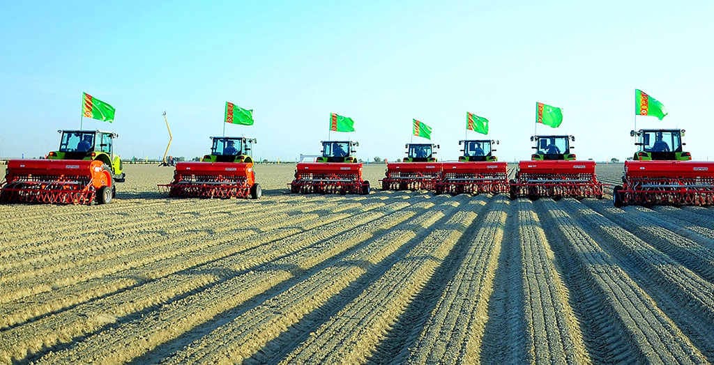 В Ахалском велаяте завершился сев пшеницы