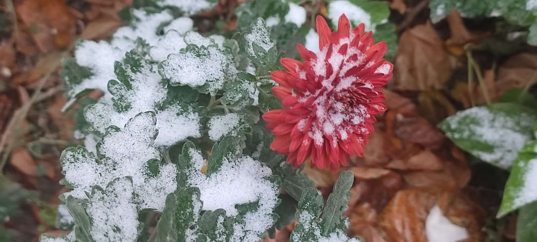 Aşgabatda ilkinji gar ýagdy