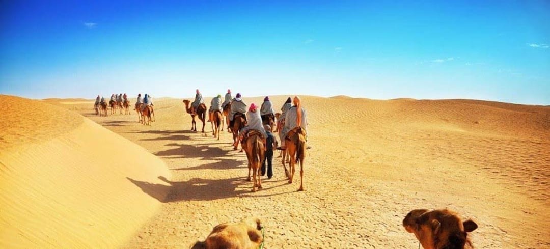 Ýewropada jahankeşdeligiň ösmegi bilen baglylykda düýelere isleg artýar