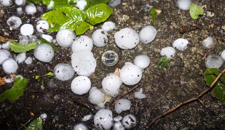 Град размером с перепелиное яйцо выпал в Париже