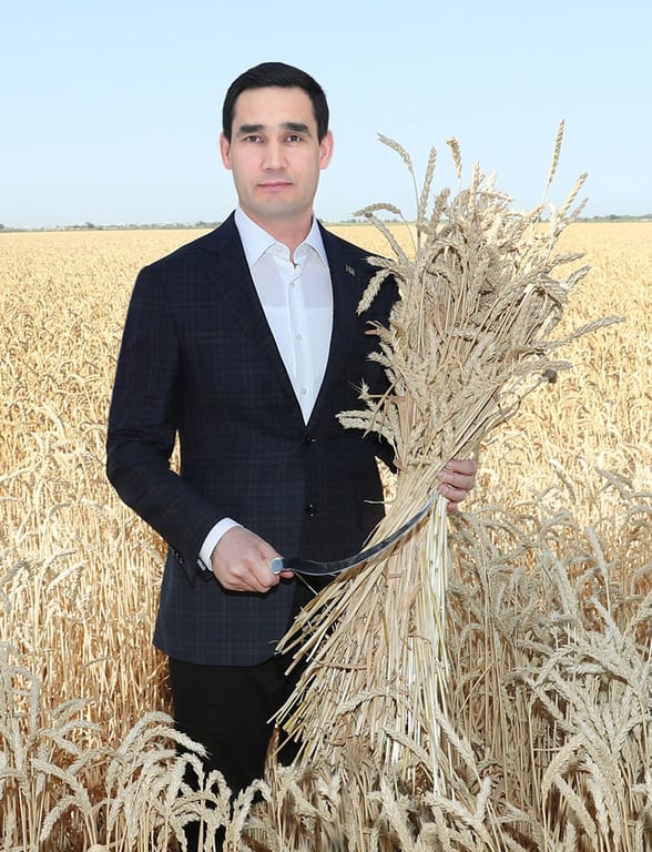Сердар Бердымухамедов дал старт жатве пшеницы в дайханском объединении Векилбазарского этрапа