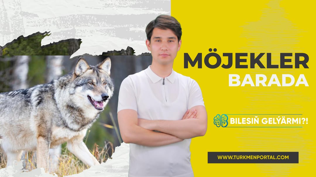 Bilesin gelýärmi | Möjekler barada