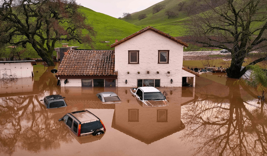 Şazada Garriniň ýaşaýan şäherini sil basdy
