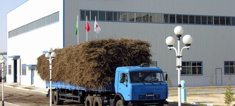 В 2020 году на предприятии «Буян» добыли 17,5 тыс. тонн кондиционного солодкового корня