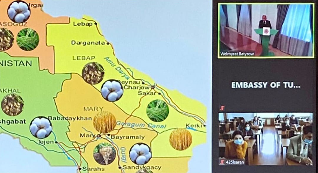 Туркменский аграрный вуз подготовил лекцию для студентов Армении по гибридизации бахчевых