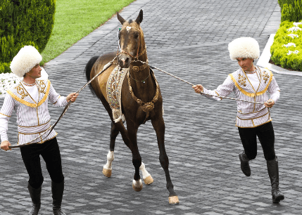 В Туркменистане определили самого красивого коня