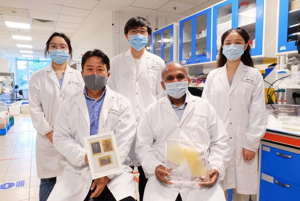 Singapurda köp gezek ulanylýan kagyz oýlanyp tapyldy 