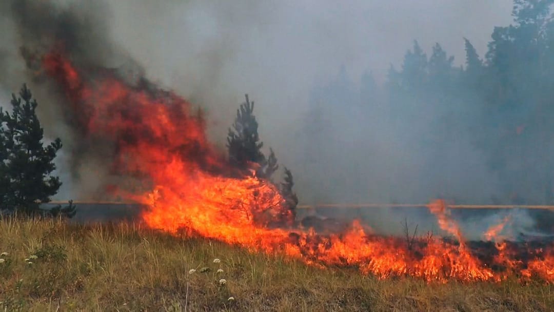 ABŞ-da 60-dan gowrak tokaý ýangyny hasaba alyndy