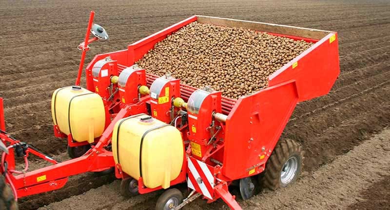 В Туркменистане под посевы картофеля выделено около 1500 гектаров