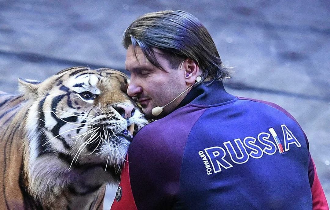 Эдгард Запашный пострадал во время репетиции номера с тиграми