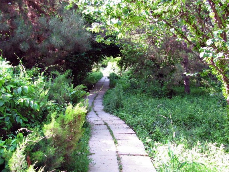 В Ашхабаде завершается капитальная реконструкция Ботанического сада