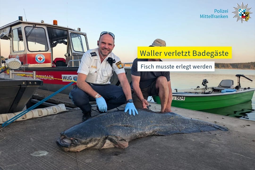 В Германии полиция застрелила гигантскую щуку, напавшую на отдыхающих