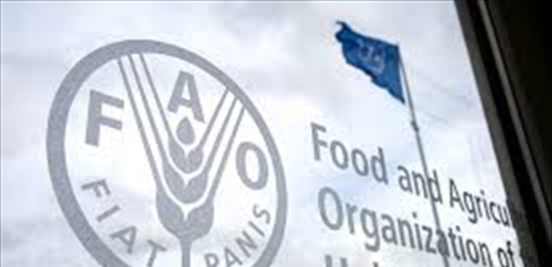 В Туркменистане откроется представительство ФАО