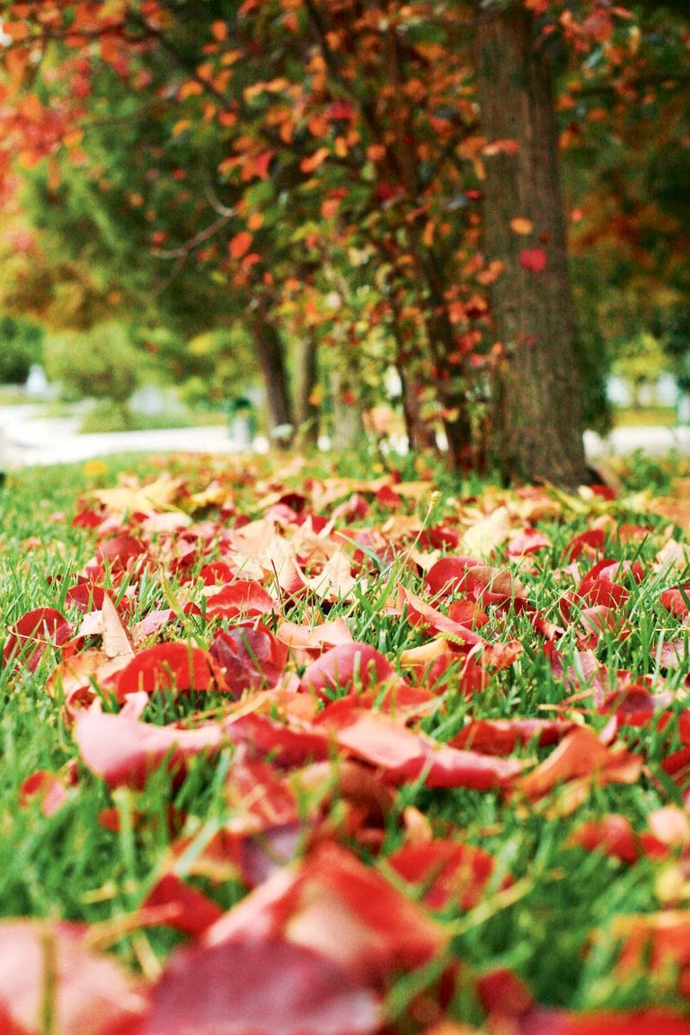 Осенняя прохлада напоминает о важности соблюдения респираторного этикета