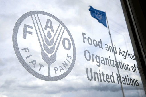 Berdimuhamedov appointed Permanent representative of Turkmenistan to the FAO